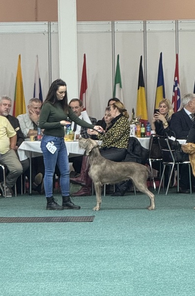 vystava-nitra-stavače2